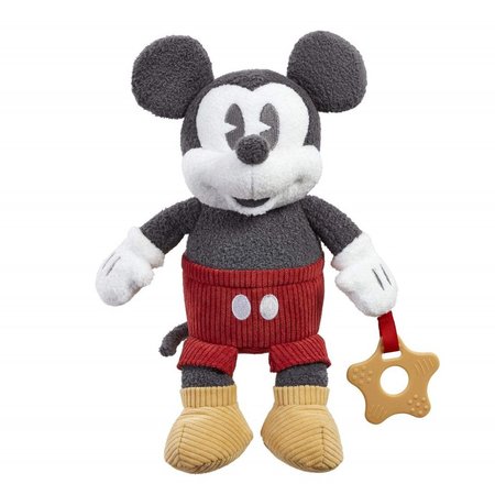 Rainbow Plyov Mickey Mouse Activity s koustkem