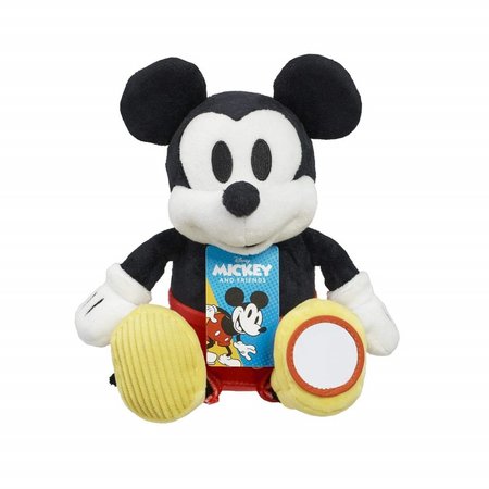 Rainbow Plyov Mickey Mouse Activity