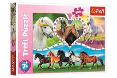 Trefl Puzzle Kon 200 dlk 48x34cm